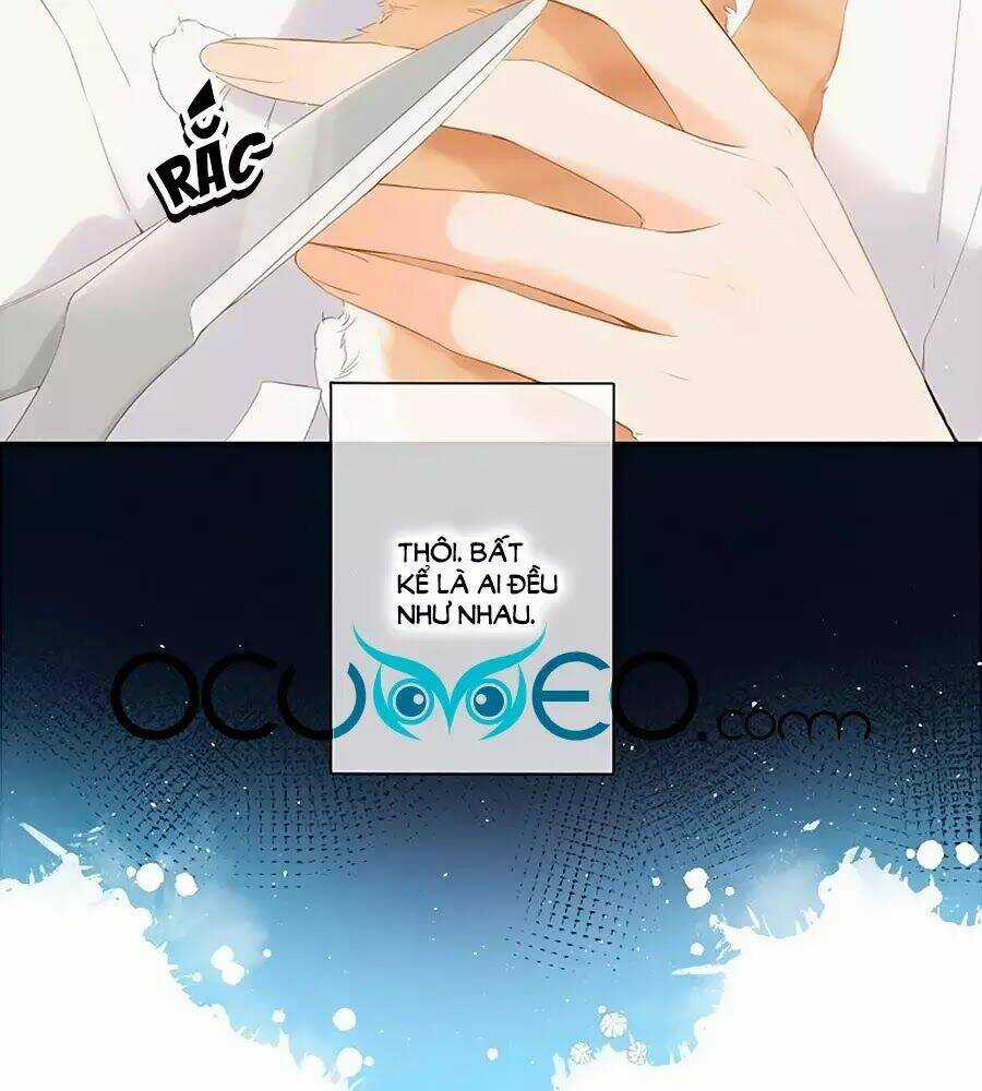 Lại Gặp Được Em - Chapter 25.6 - Trang 29