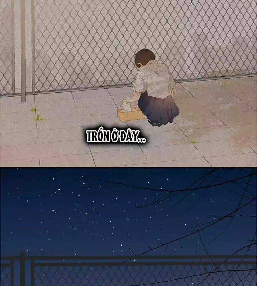 Lại Gặp Được Em - Chapter 26 - Trang 38