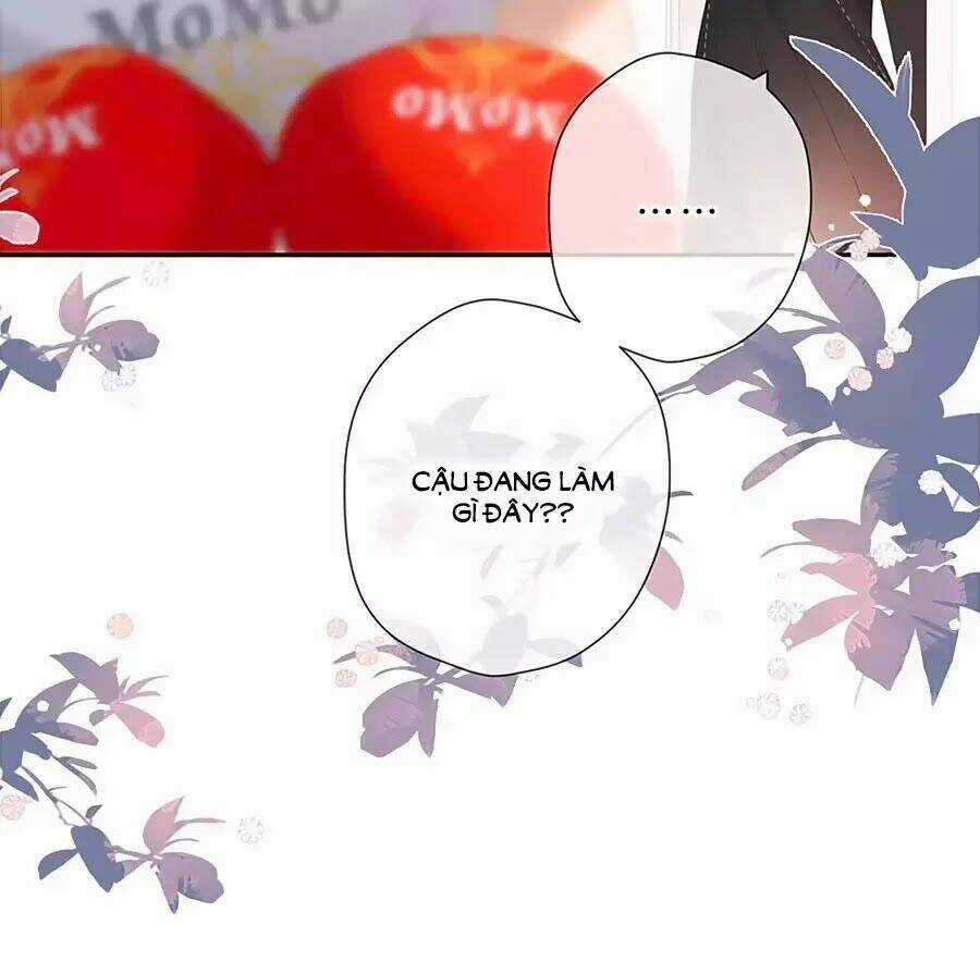 Lại Gặp Được Em - Chapter 29 - Trang 36