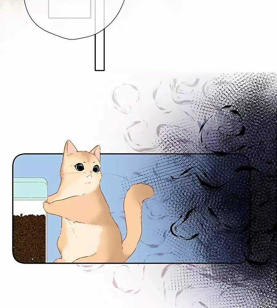 Lại Gặp Được Em - Chapter 31 - Trang 14