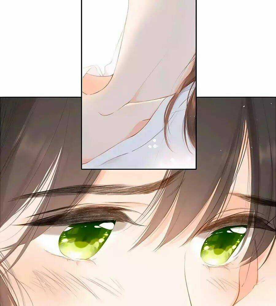 Lại Gặp Được Em - Chapter 31 - Trang 30