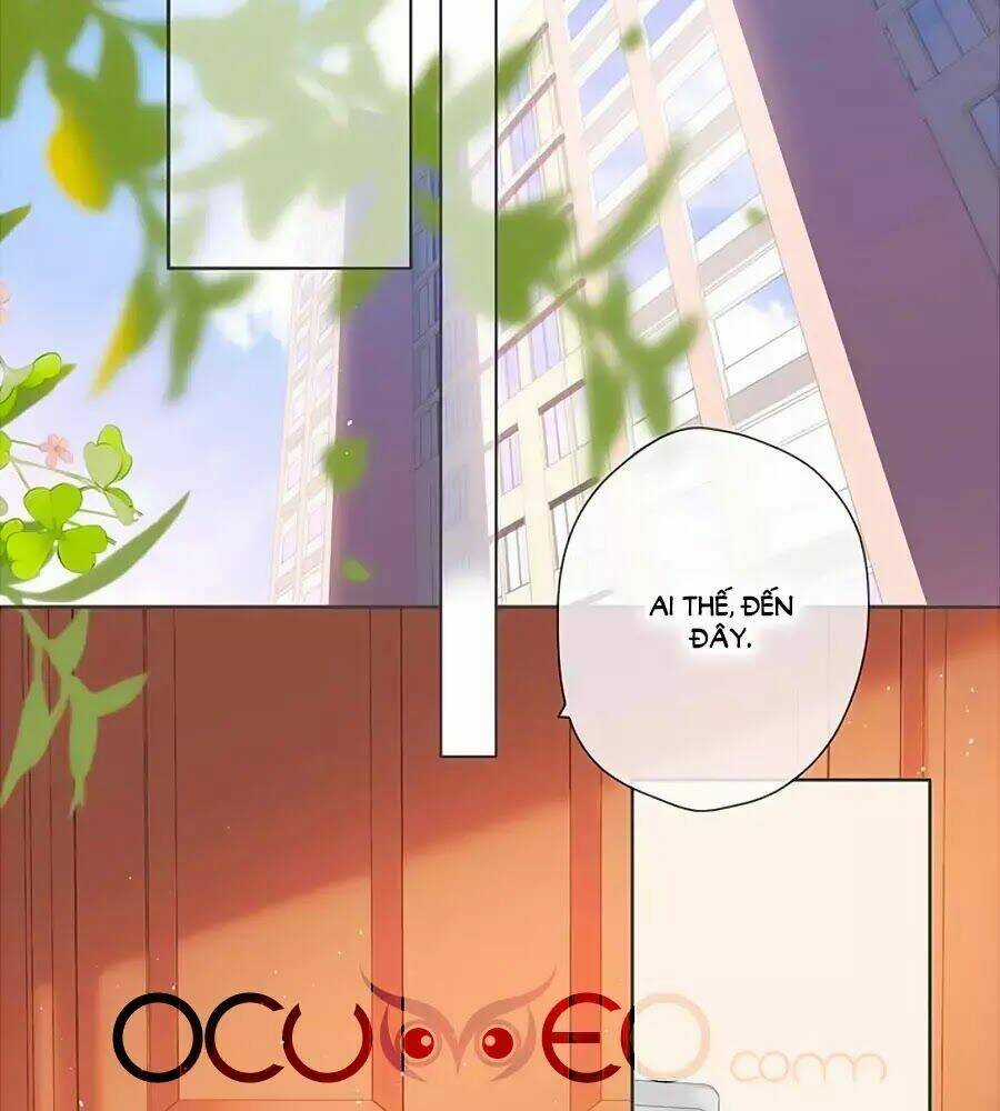 Lại Gặp Được Em - Chapter 31 - Trang 35