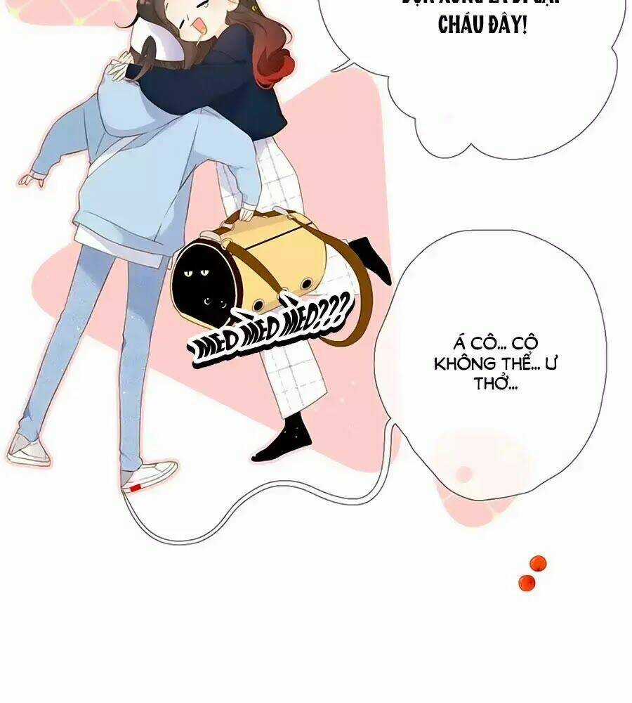 Lại Gặp Được Em - Chapter 31 - Trang 41