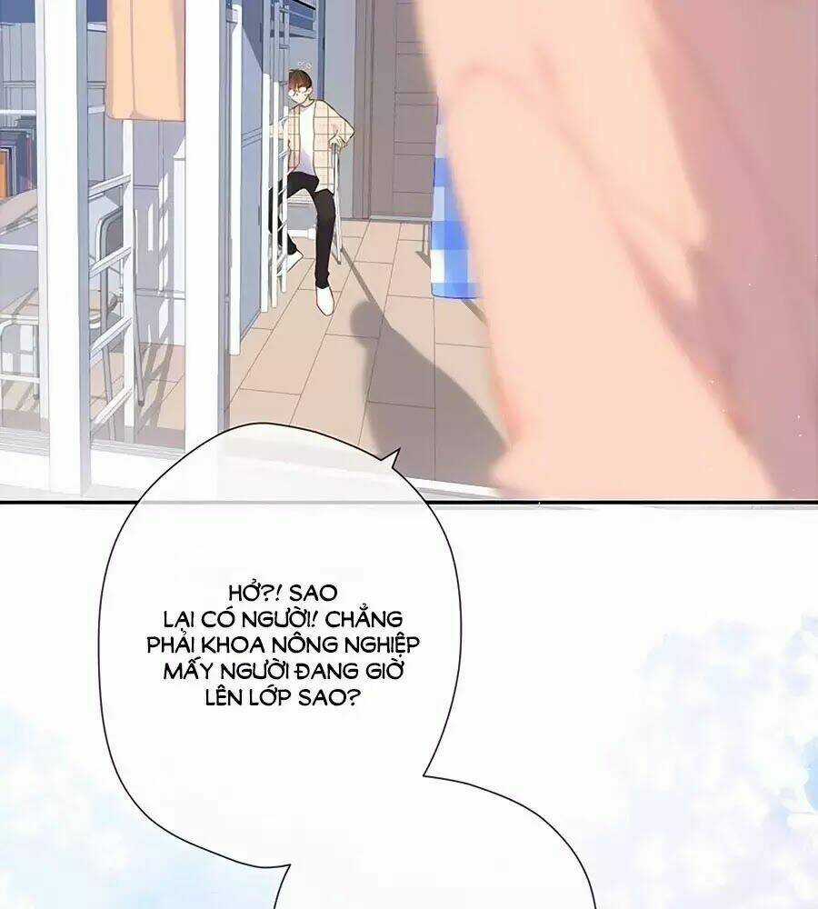 Lại Gặp Được Em - Chapter 33.5 - Trang 8