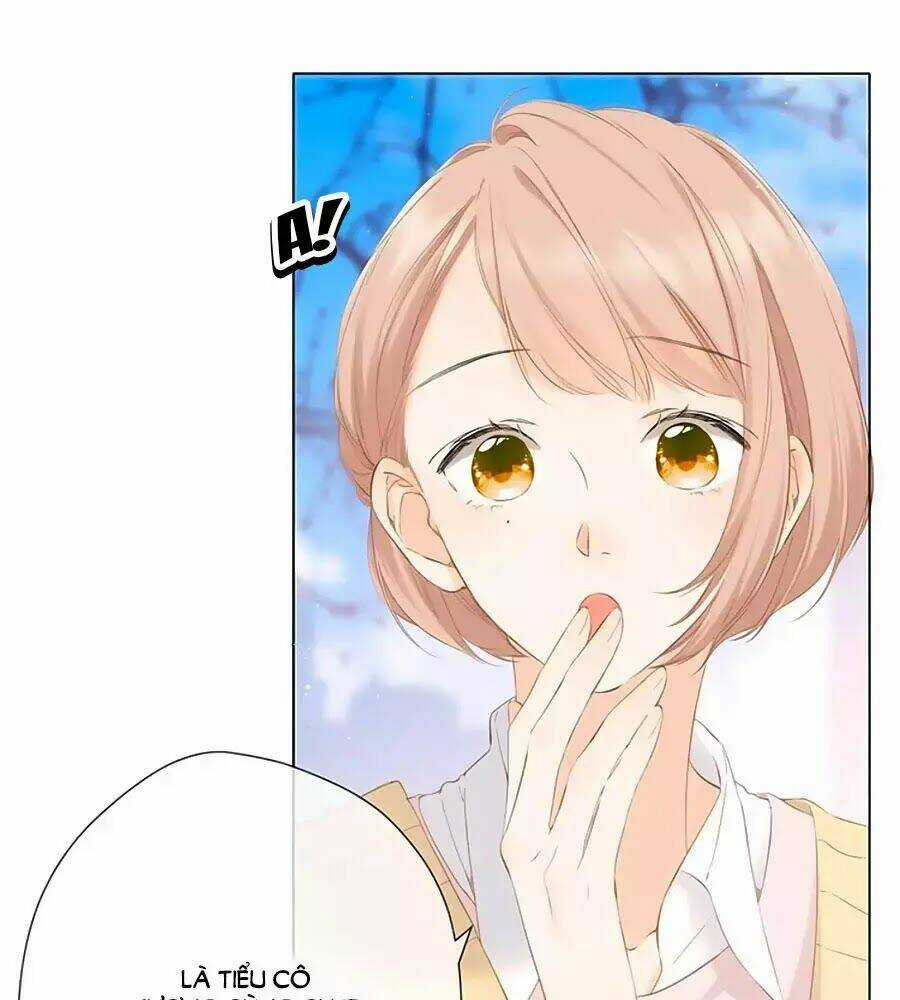 Lại Gặp Được Em - Chapter 33 - Trang 14