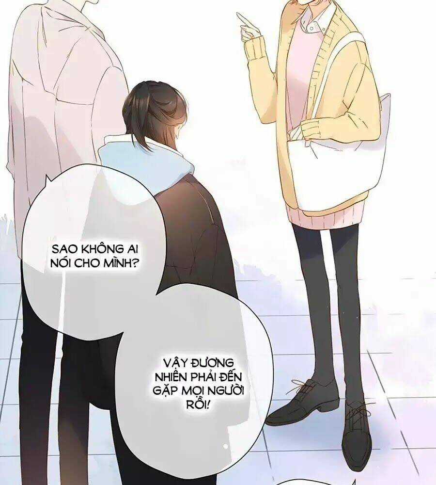 Lại Gặp Được Em - Chapter 33 - Trang 19