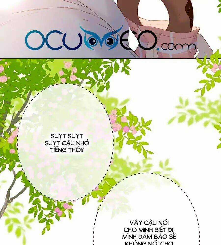 Lại Gặp Được Em - Chapter 33 - Trang 3