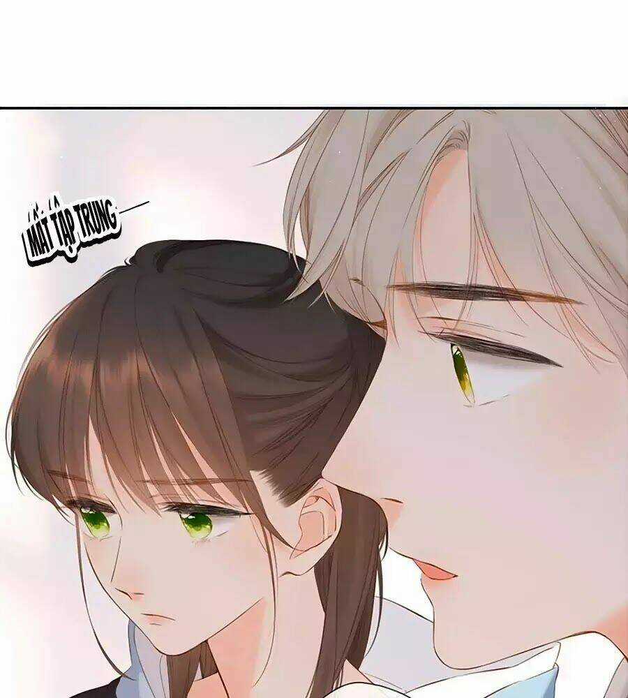 Lại Gặp Được Em - Chapter 33 - Trang 31