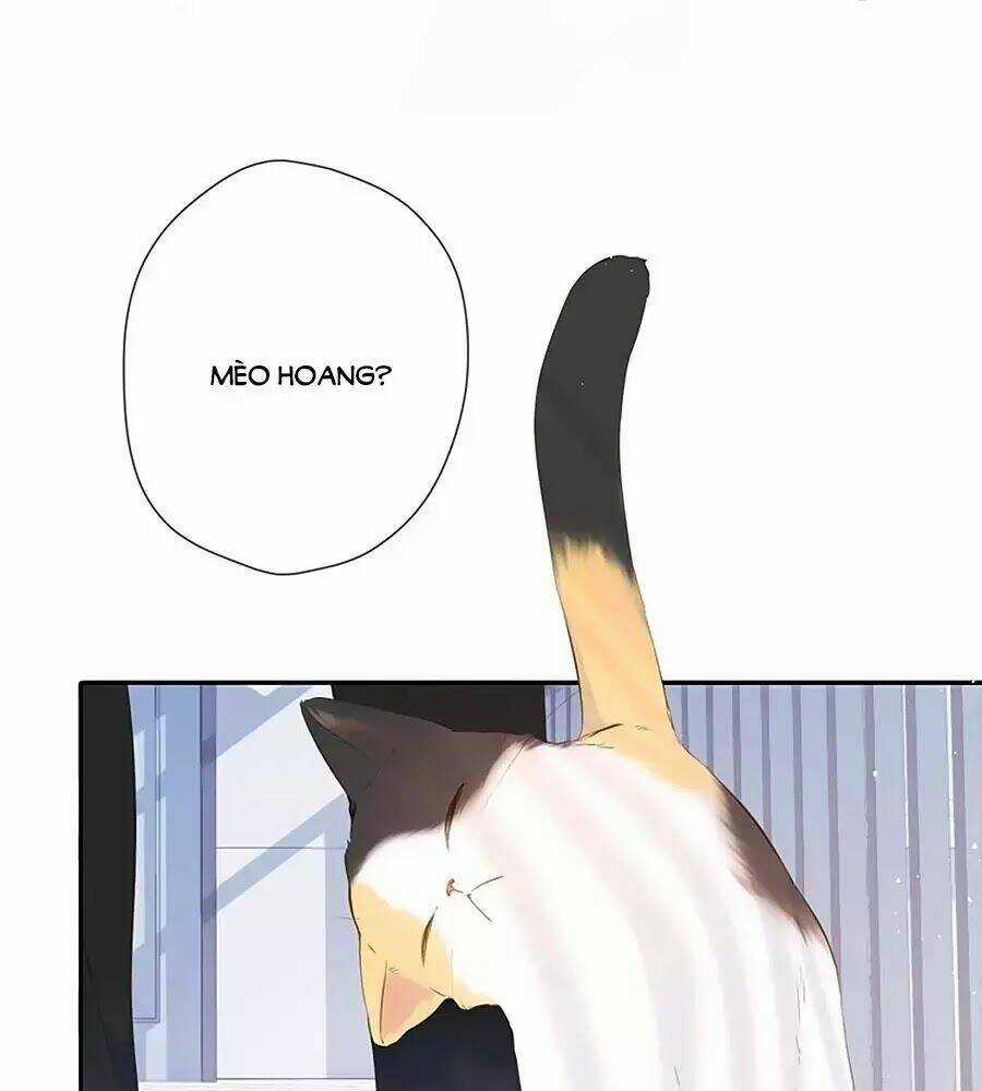 Lại Gặp Được Em - Chapter 35 - Trang 3