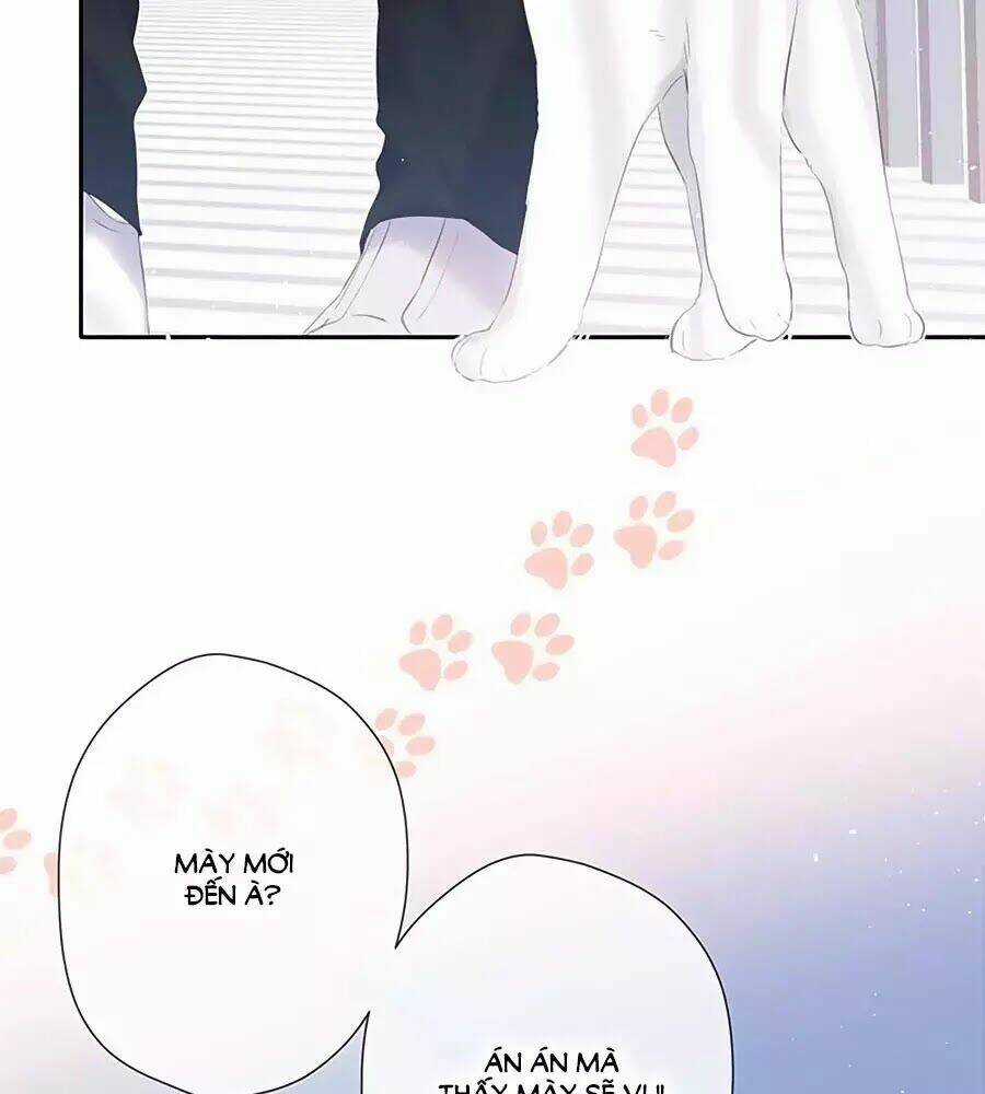 Lại Gặp Được Em - Chapter 35 - Trang 4