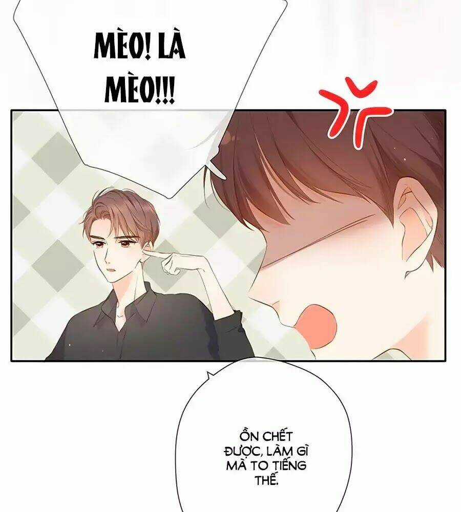 Lại Gặp Được Em - Chapter 36 - Trang 27