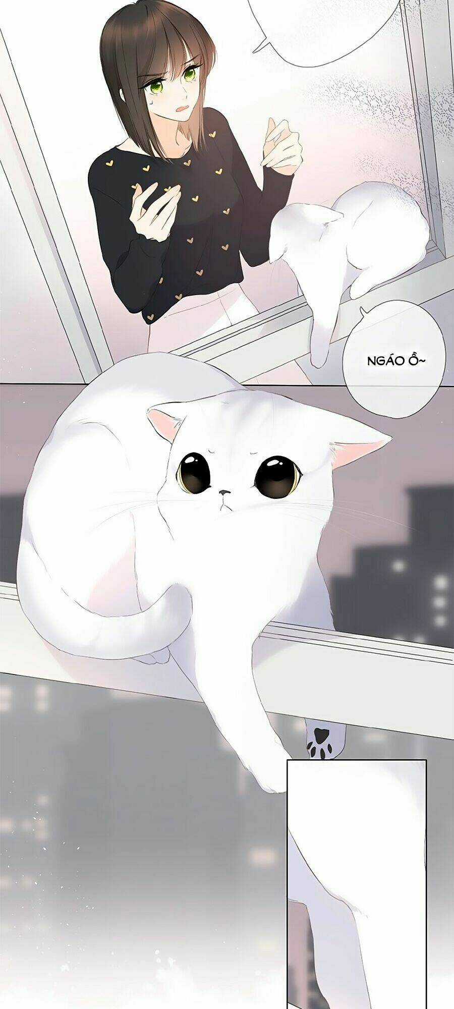 Lại Gặp Được Em - Chapter 4 - Trang 12