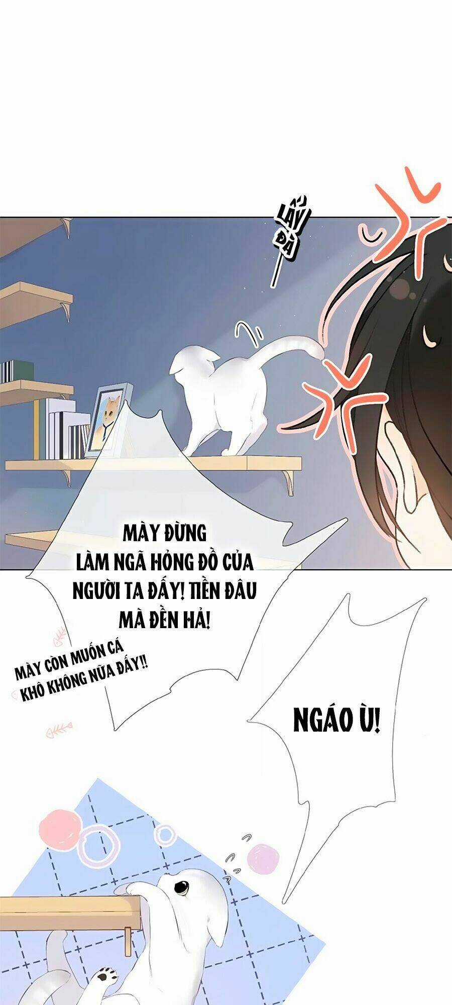 Lại Gặp Được Em - Chapter 4 - Trang 15