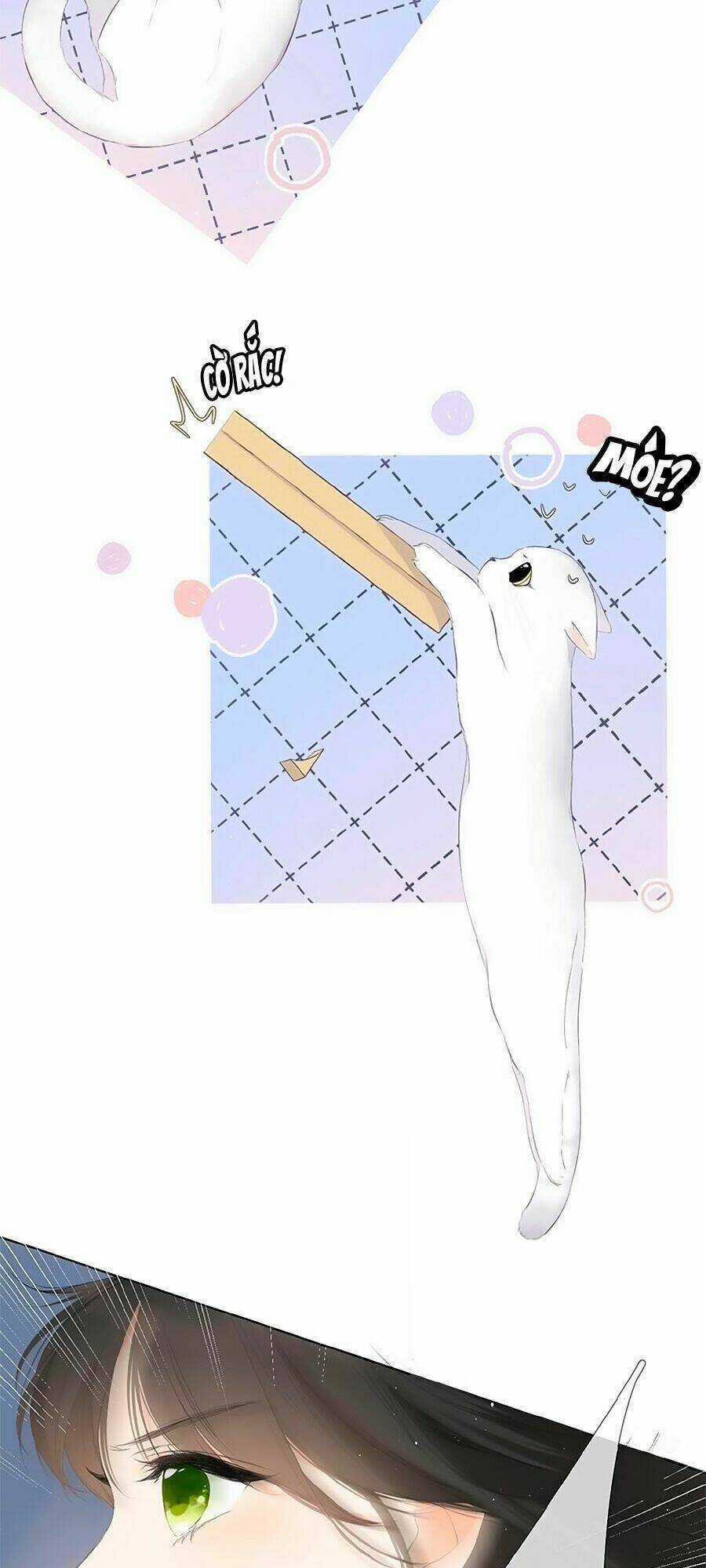 Lại Gặp Được Em - Chapter 4 - Trang 16