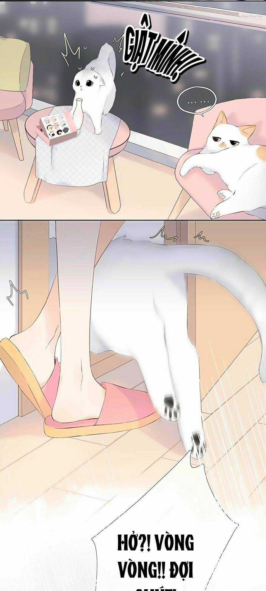 Lại Gặp Được Em - Chapter 4 - Trang 6