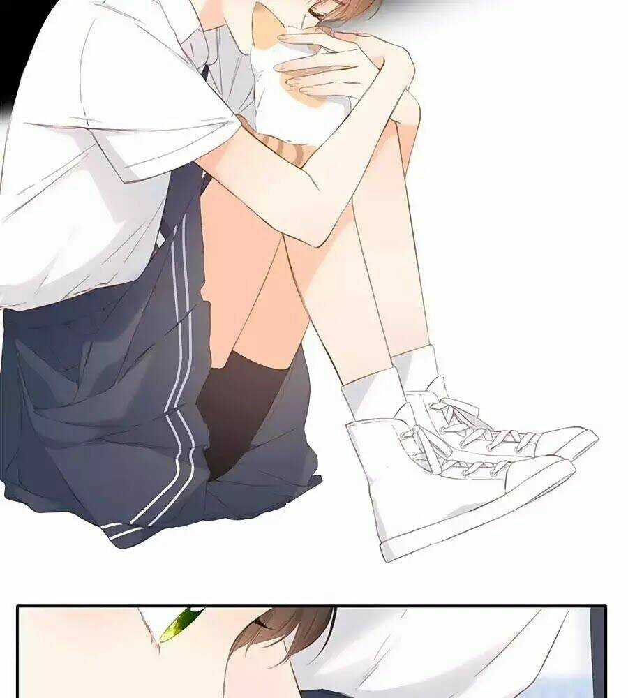 Lại Gặp Được Em - Chapter 42 - Trang 20