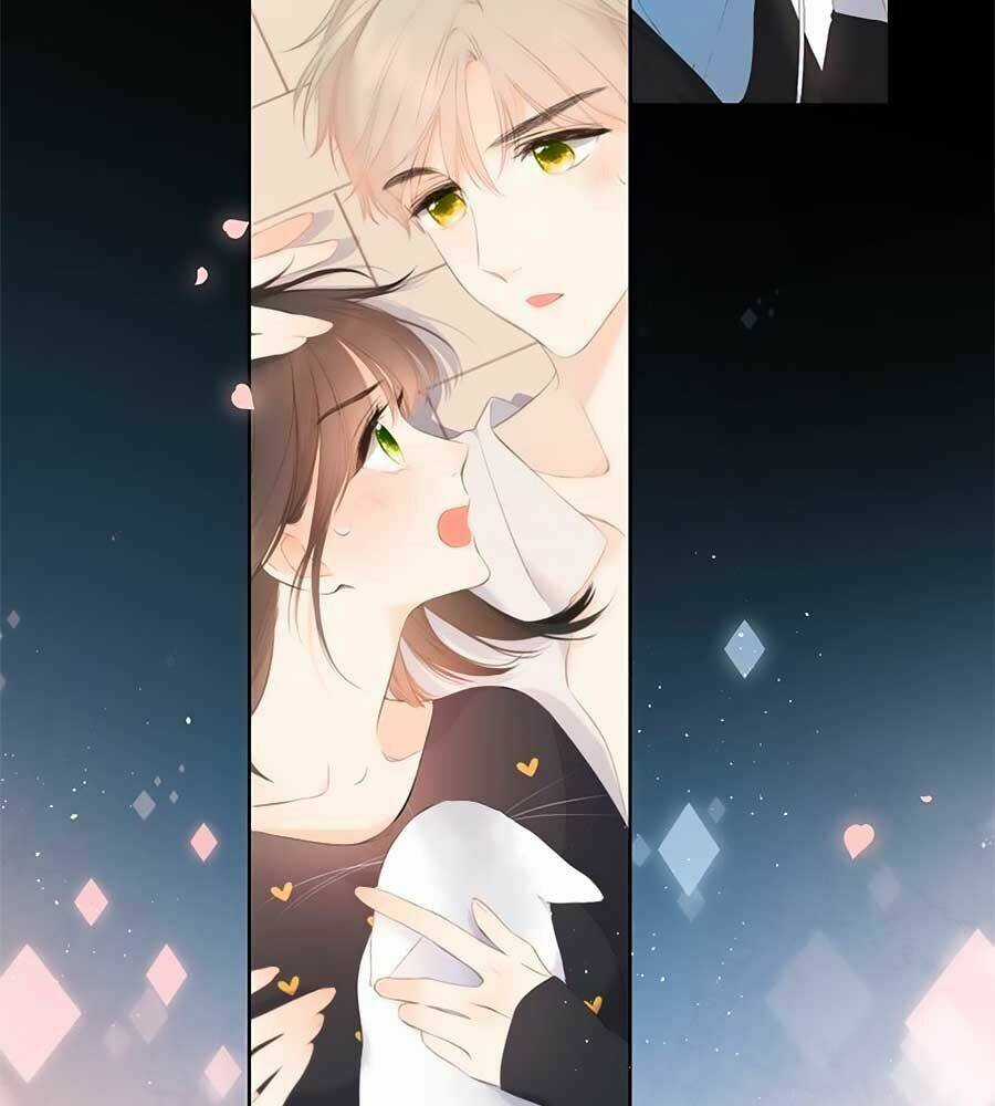 Lại Gặp Được Em - Chapter 44.5 - Trang 13