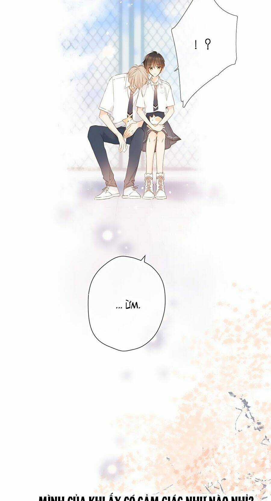 Lại Gặp Được Em - Chapter 52 - Trang 19