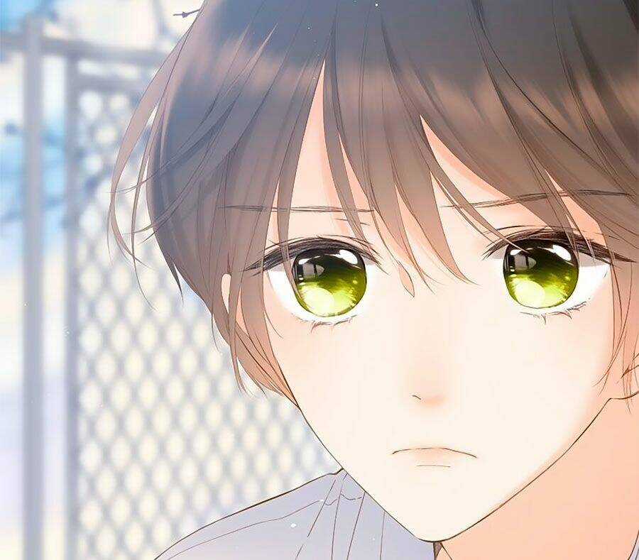 Lại Gặp Được Em - Chapter 52 - Trang 42