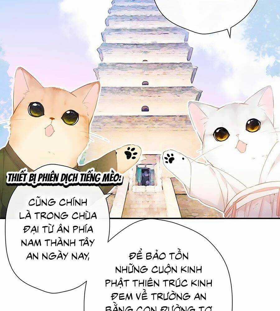 Lại Gặp Được Em - Chapter 54.5 - Trang 12