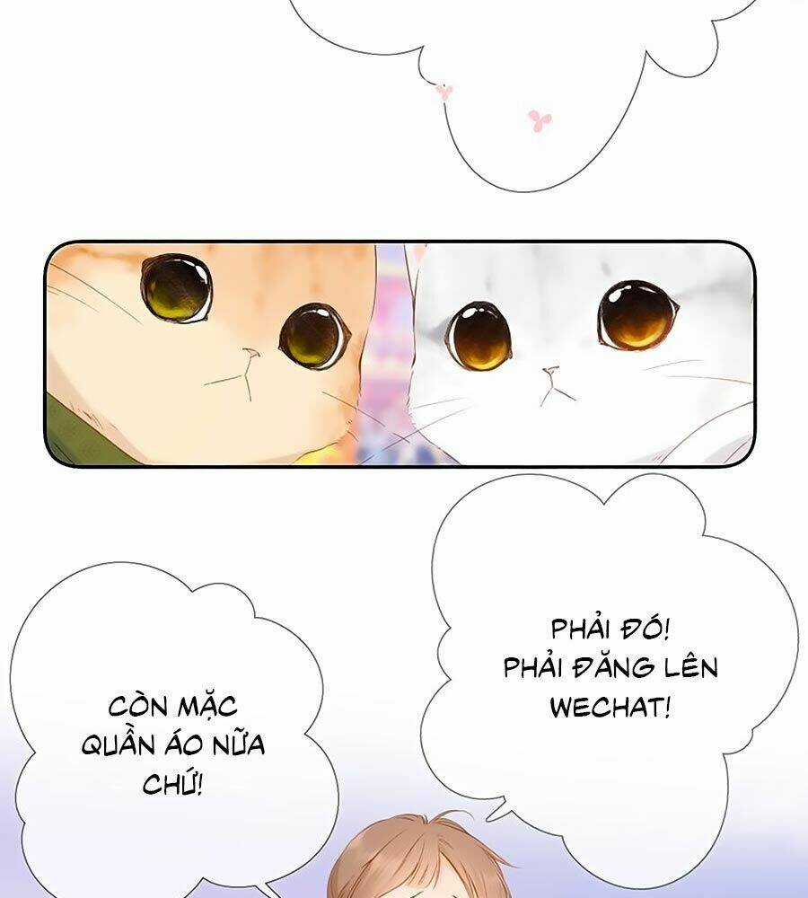 Lại Gặp Được Em - Chapter 54.5 - Trang 17