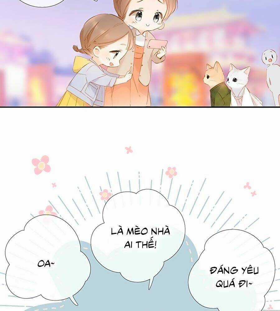 Lại Gặp Được Em - Chapter 54.5 - Trang 18