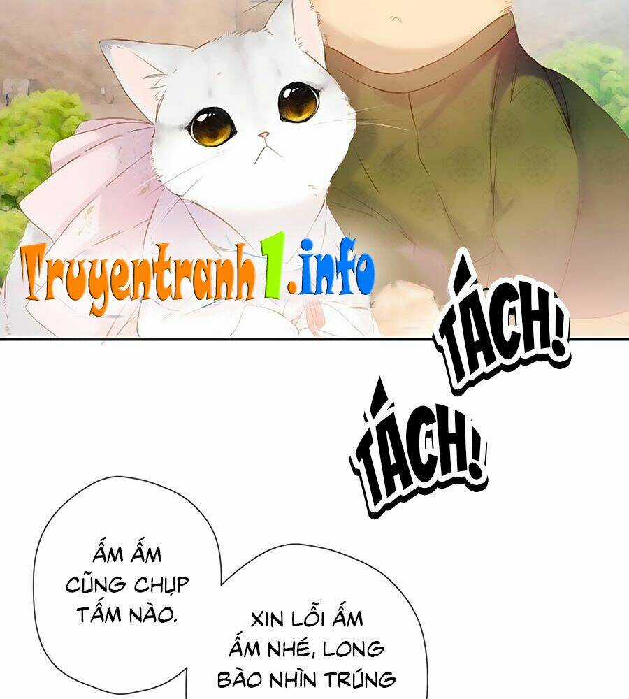 Lại Gặp Được Em - Chapter 54.5 - Trang 3