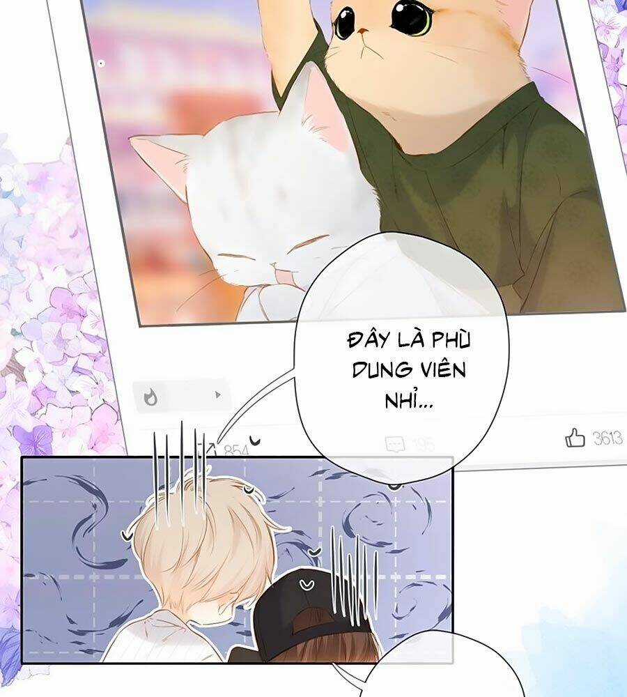 Lại Gặp Được Em - Chapter 54.5 - Trang 23