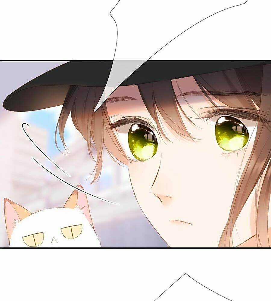 Lại Gặp Được Em - Chapter 54.5 - Trang 5