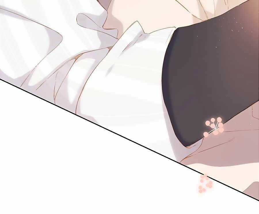 Lại Gặp Được Em - Chapter 54 - Trang 19