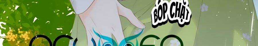 Lại Gặp Được Em - Chapter 68 - Trang 7