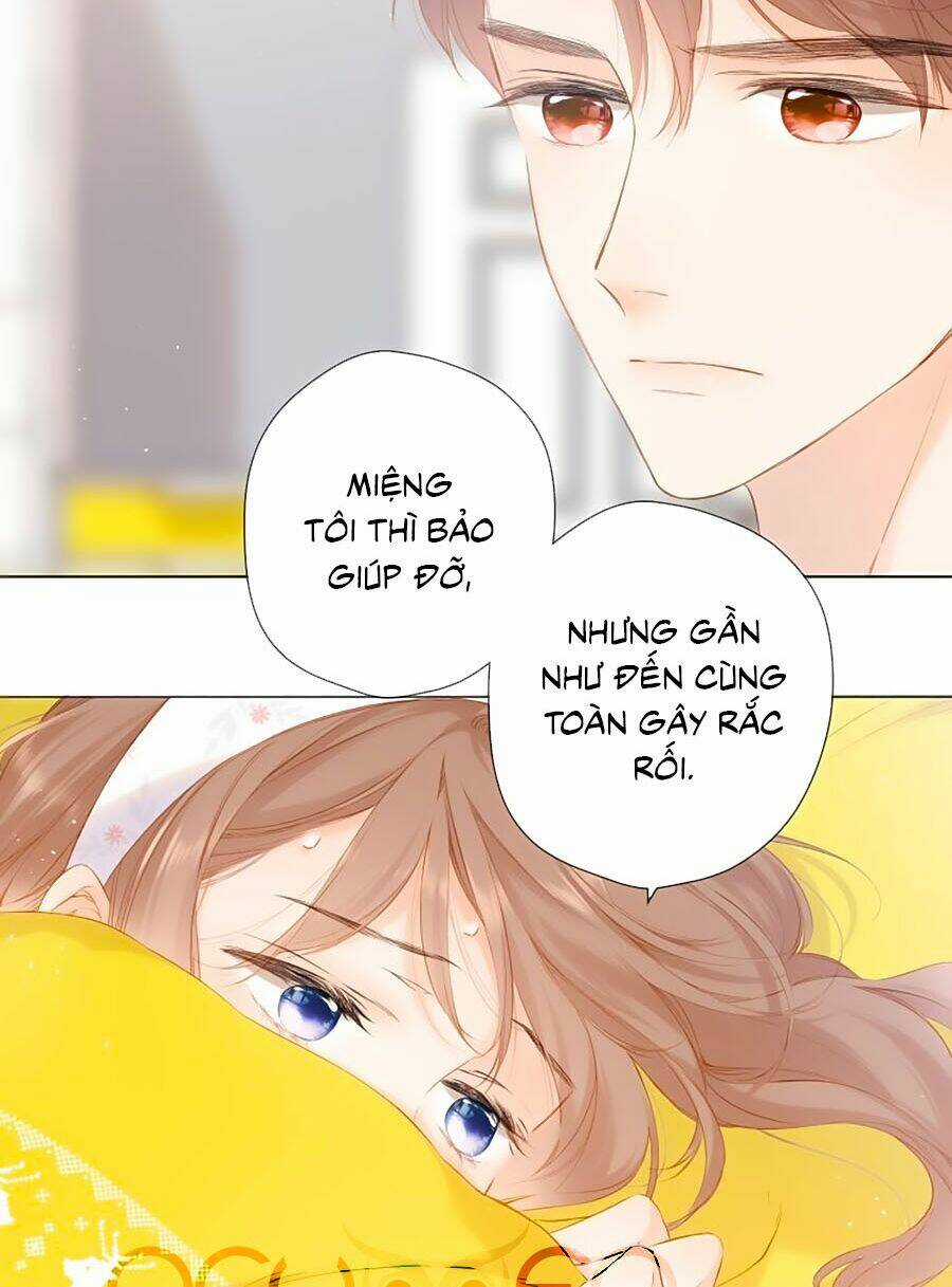 Lại Gặp Được Em - Chapter 75 - Trang 3