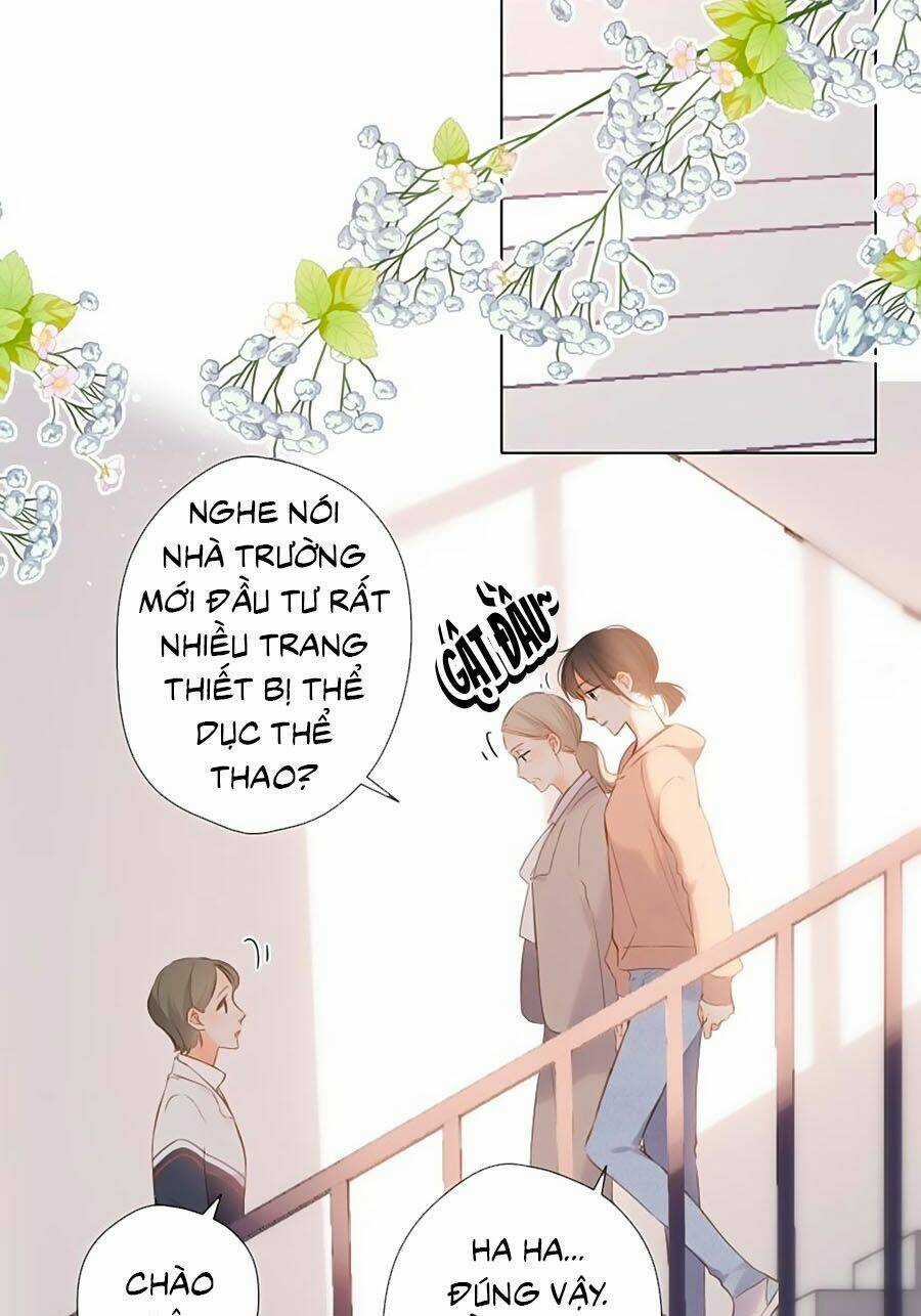 Lại Gặp Được Em - Chapter 78 - Trang 4