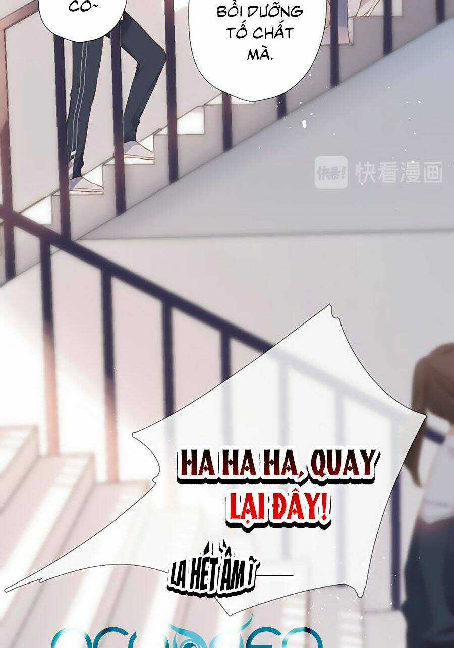 Lại Gặp Được Em - Chapter 78 - Trang 5