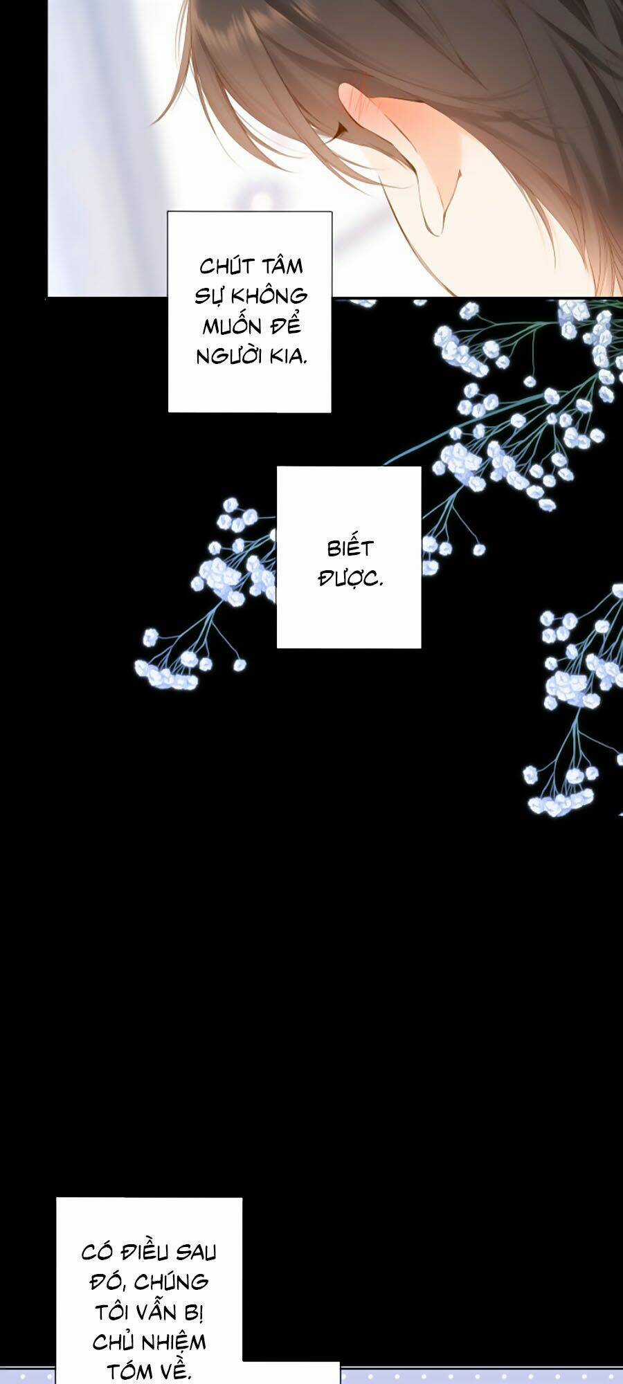 Lại Gặp Được Em - Chapter 87 - Trang 41