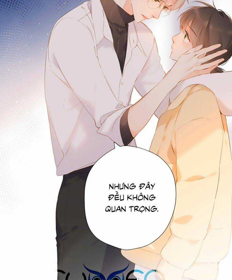 Lại Gặp Được Em - Chapter 88 - Trang 15