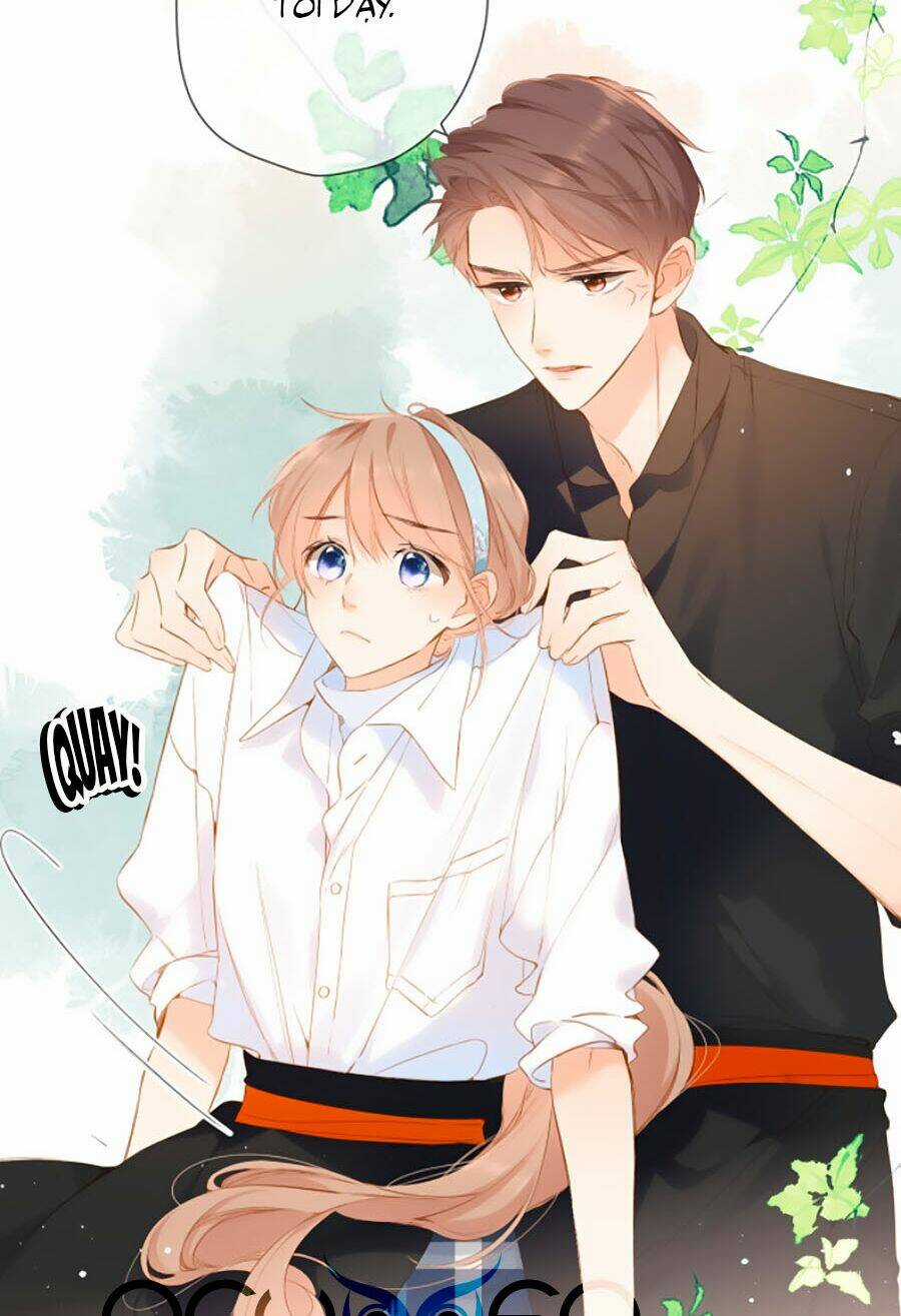 Lại Gặp Được Em - Chapter 95 - Trang 11