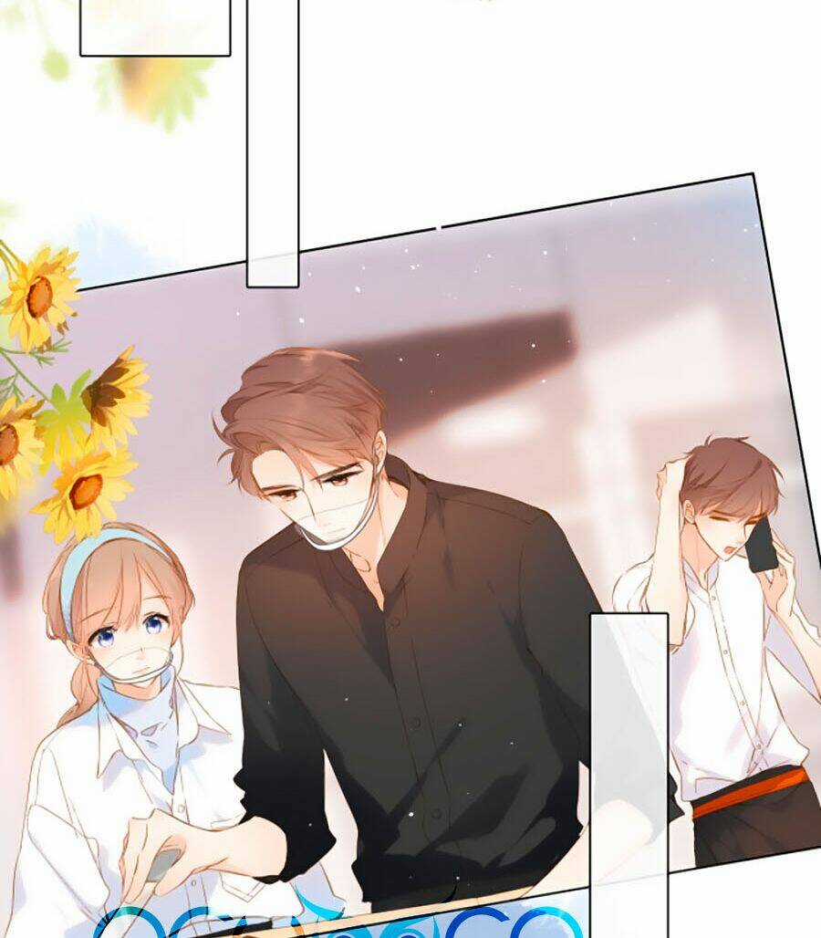 Lại Gặp Được Em - Chapter 95 - Trang 13