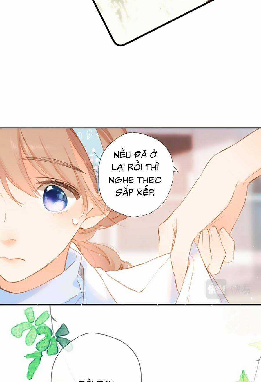 Lại Gặp Được Em - Chapter 95 - Trang 10