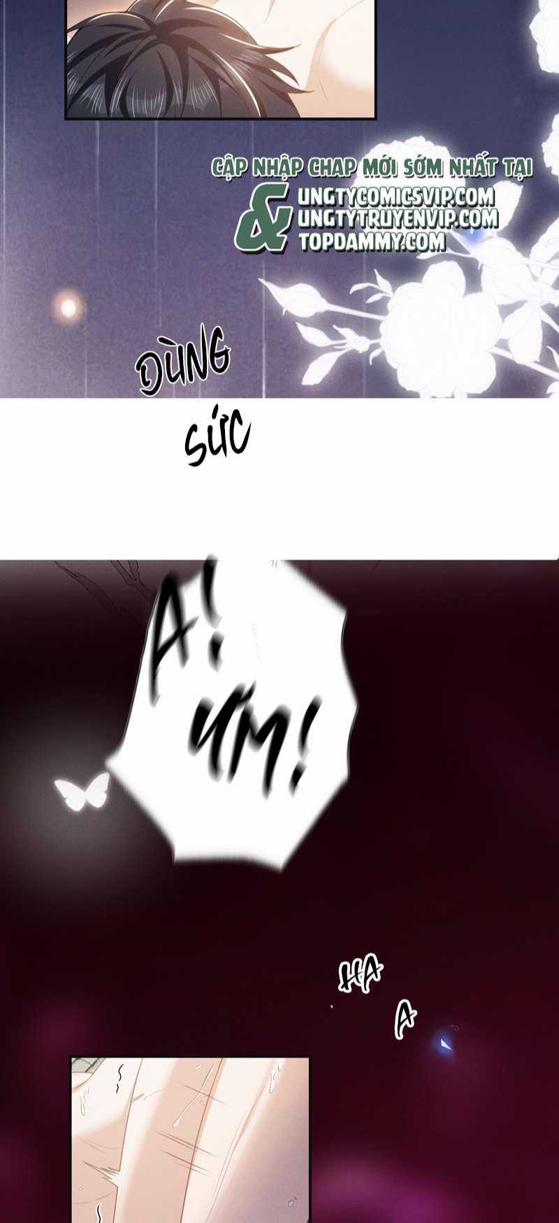 Lai Sinh Bất Kiến - Chapter 102 - Trang 14