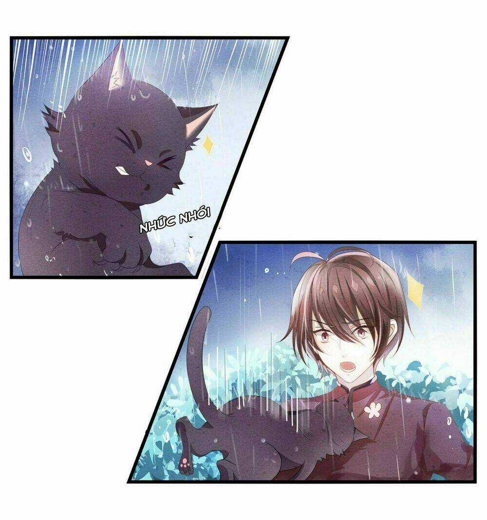 Làm Mèo Của Ta - Chapter 0 - Trang 8