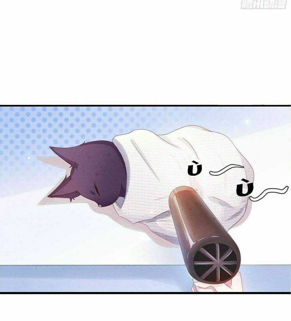 Làm Mèo Của Ta - Chapter 1 - Trang 20