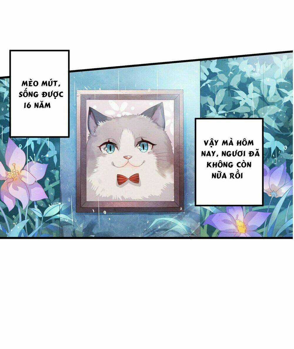 Làm Mèo Của Ta - Chapter 1 - Trang 8