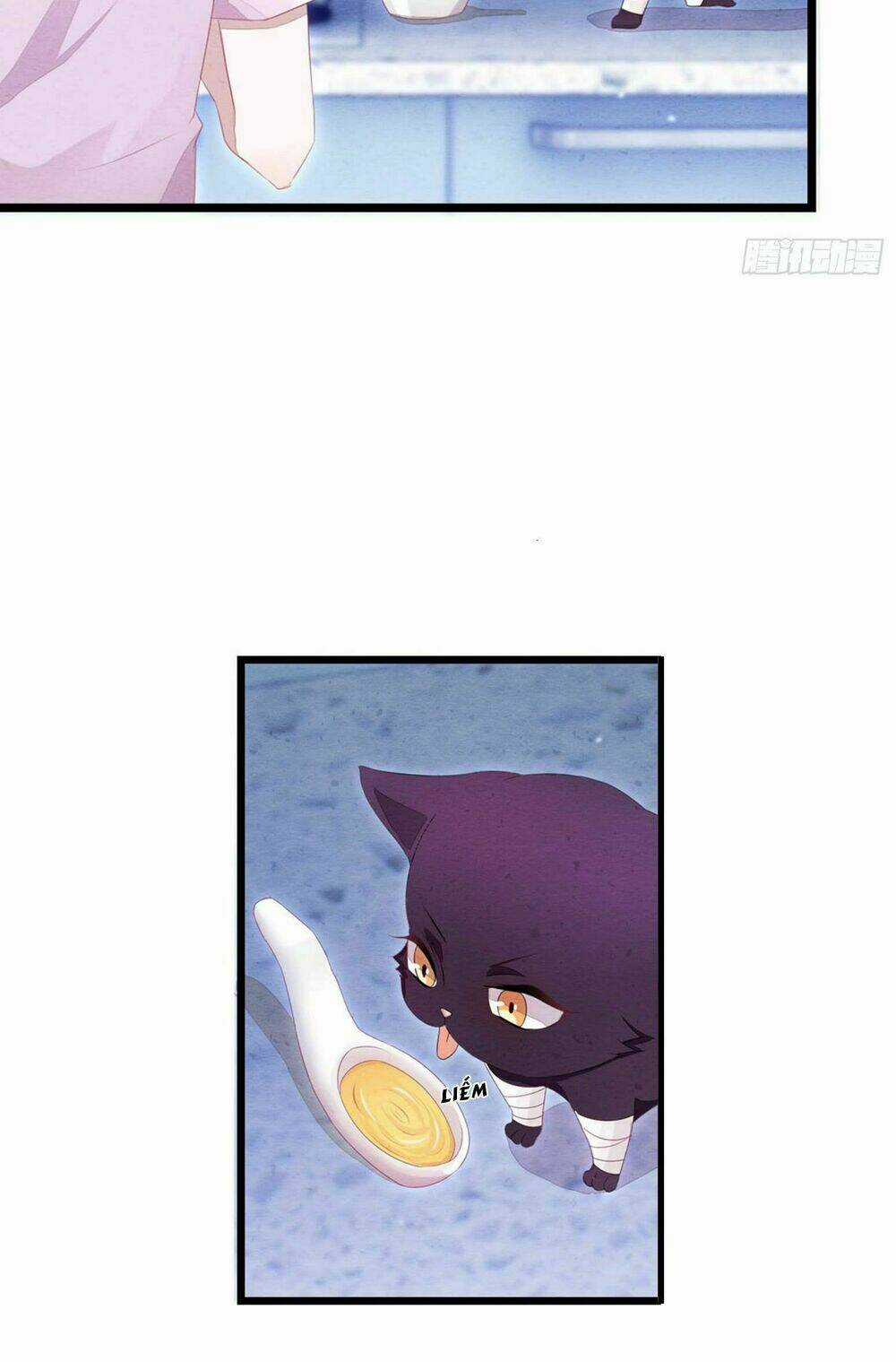 Làm Mèo Của Ta - Chapter 2 - Trang 13