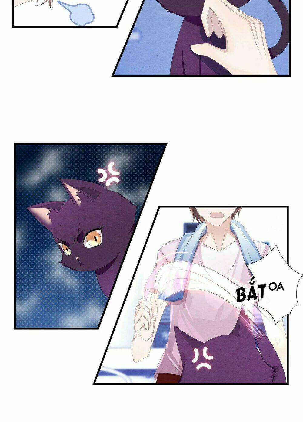 Làm Mèo Của Ta - Chapter 2 - Trang 15