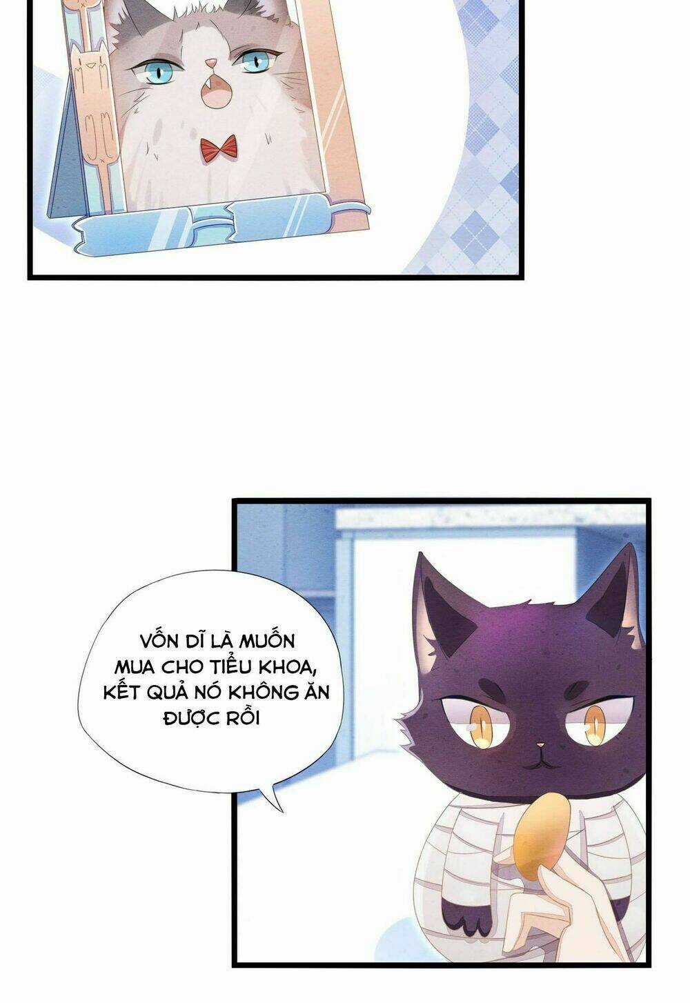 Làm Mèo Của Ta - Chapter 2 - Trang 5