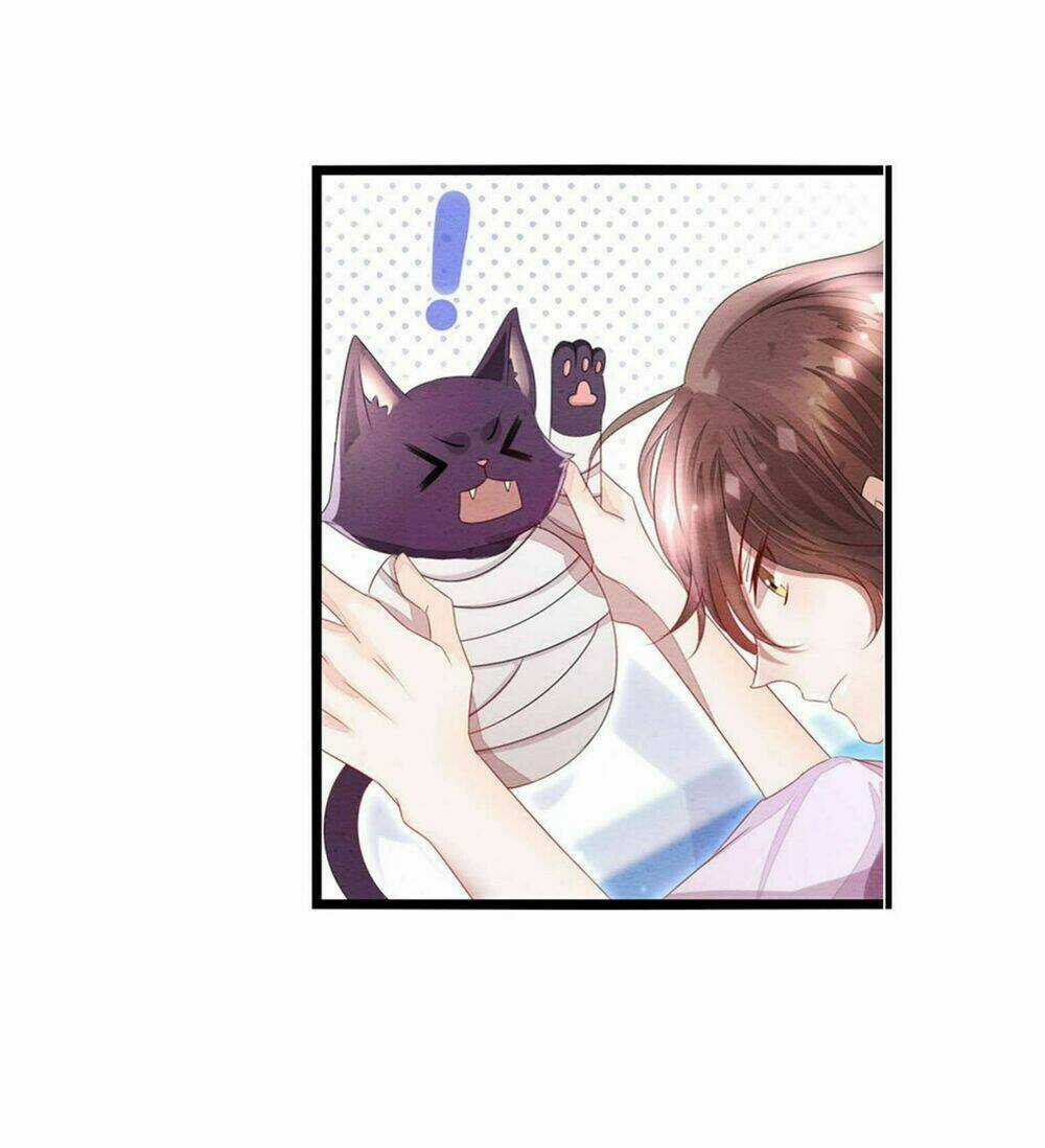 Làm Mèo Của Ta - Chapter 2 - Trang 8