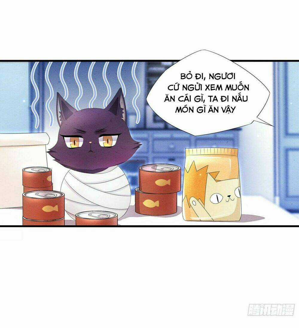 Làm Mèo Của Ta - Chapter 2 - Trang 9