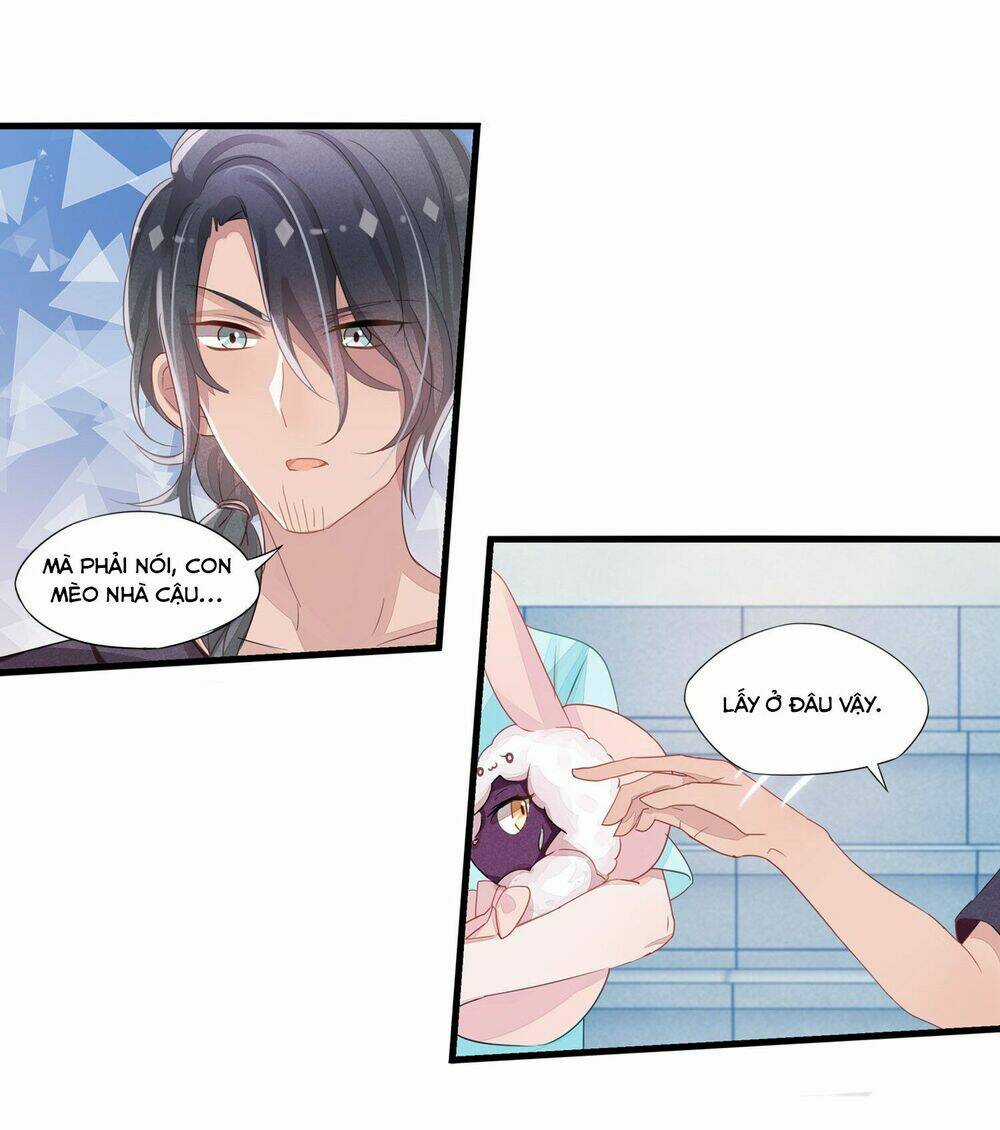 Làm Mèo Của Ta - Chapter 4 - Trang 13