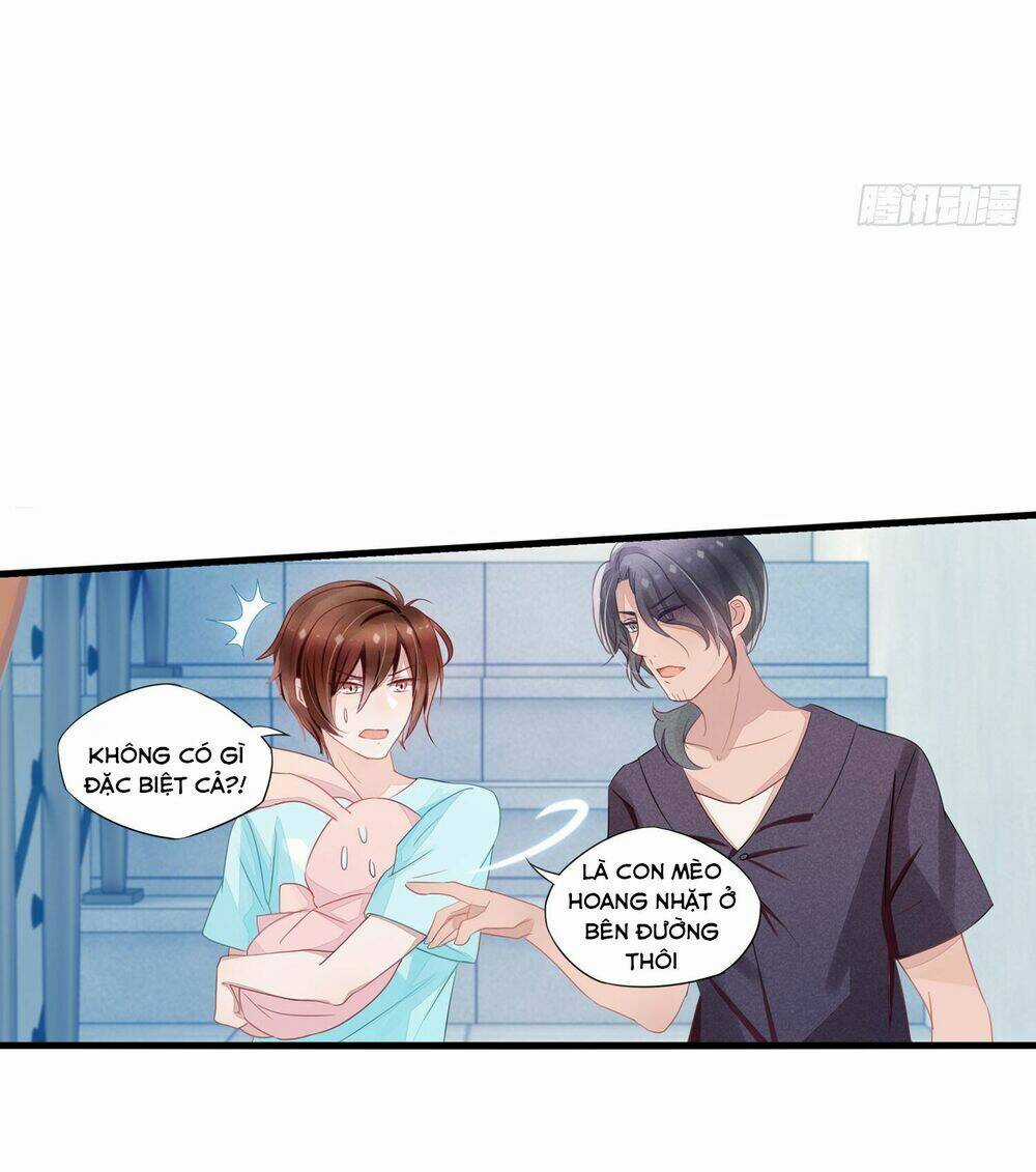 Làm Mèo Của Ta - Chapter 4 - Trang 14